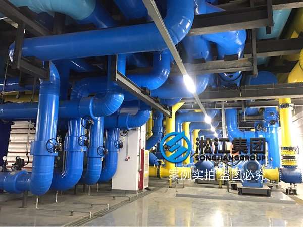 京东方泵房橡胶接头项目