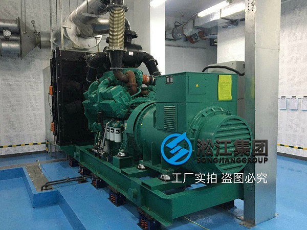 柴油发电机SHM可调式弹簧减振器解决方案